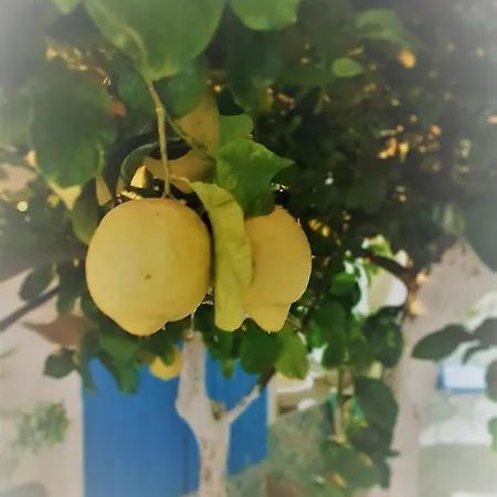 Alojamento de Acomodação e Pequeno-almoço Gi&giò