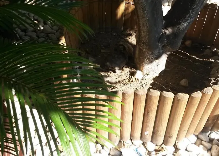 Gi & Gio 까브라스