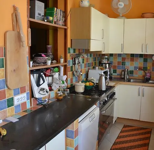 Gi & Gio 까브라스